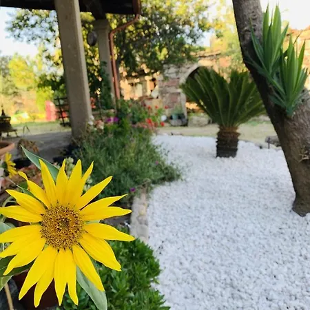 مزرعة للإقامة Agriturismo Da Lino Agripizza