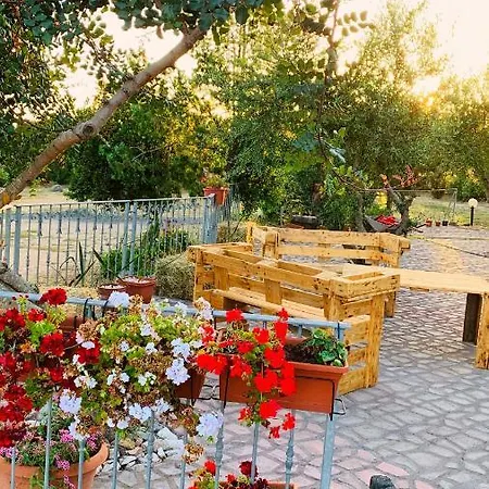 Agriturismo Da Lino Agripizza Samugheo