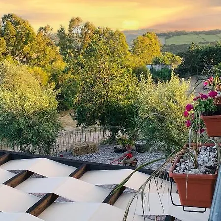 Gospodarstwo agroturystyczne Agriturismo Da Lino Agripizza *